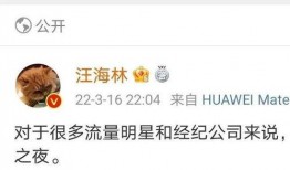 爆料娱乐圈的瓜最新,明星隐私大揭秘，真相令人震惊！